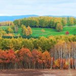 秋季来北海道旅行必看！推荐秋季景色超美的7处观光景点
