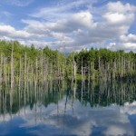 The “Blue Pond” in Biei, its seasonal vistas, and how to get there