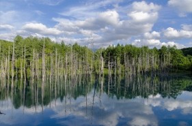 The “Blue Pond” in Biei, its seasonal vistas, and how to get there