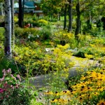 [Hokkaido Garden Path] Enjoy the Eight Gardens