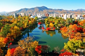 Seven Recommeded Autumn Leave Spots in Sapporo!