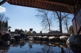 7 Popular Hot Spring Hotels & Ryokan at Botanical Hot Springs in Tokachigawa