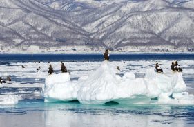 A goal-based comparison of drift ice viewing tours