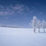 Is this really Japan?! Top 10 Handpicked Exquisite Snow-white Hokkaido Vistas That Can Only Be Seen in Winter
