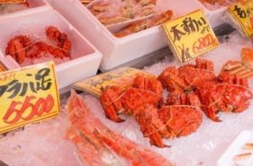 Feast on Hokkaido Crab! Types of crab and how to eat them.