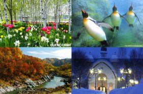 아사히야마 동물원(旭山動物園)을 비롯한 다양한 볼거리! 아사히카와(旭川)에서 추천하는 관광 명소 7선