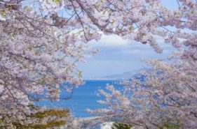항구도시, 오타루(小樽)의 봄을 즐긴다! 추천 명소 & 이벤트