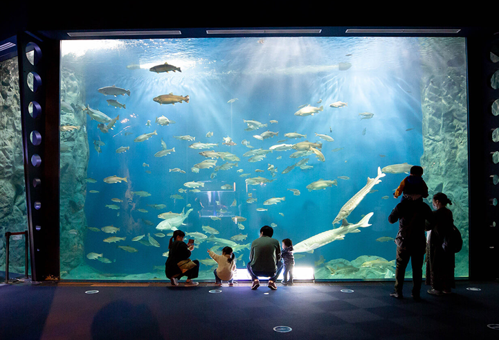 【Valid for one-time use during the period】Salmon Hometown Chitose Aquarium | Admission
