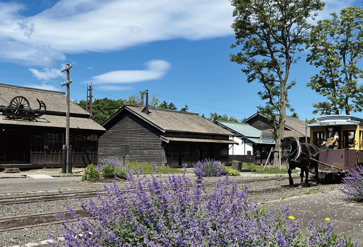 【Valid for one-time use during the period】Hokkaido Pioneer Village Outdoor Museum | Admission