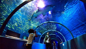 北海道のおすすめ水族館7選！北海道ならではの魅力いっぱい♪