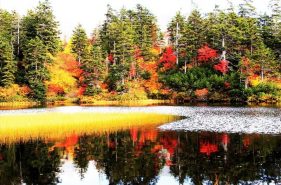 秋季來北海道旅行必看！推薦秋季景色超美的7個觀光景點