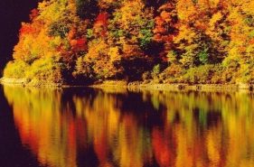 紅葉名所！在豐平峽水庫被詩畫般的秋色包圍的一天♪