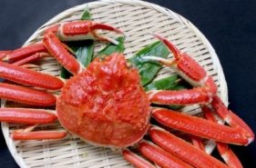 吃盡北海道的螃蟹！螃蟹的種類和吃法