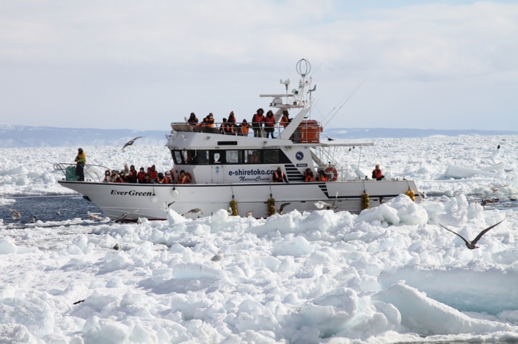 Drift ice cruise