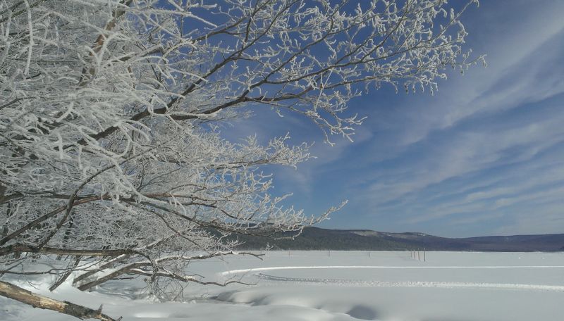 Lake Akanと霧氷