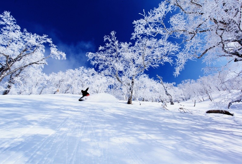 北海道最大級のスキー場へ ルスツスキーのここがおすすめ