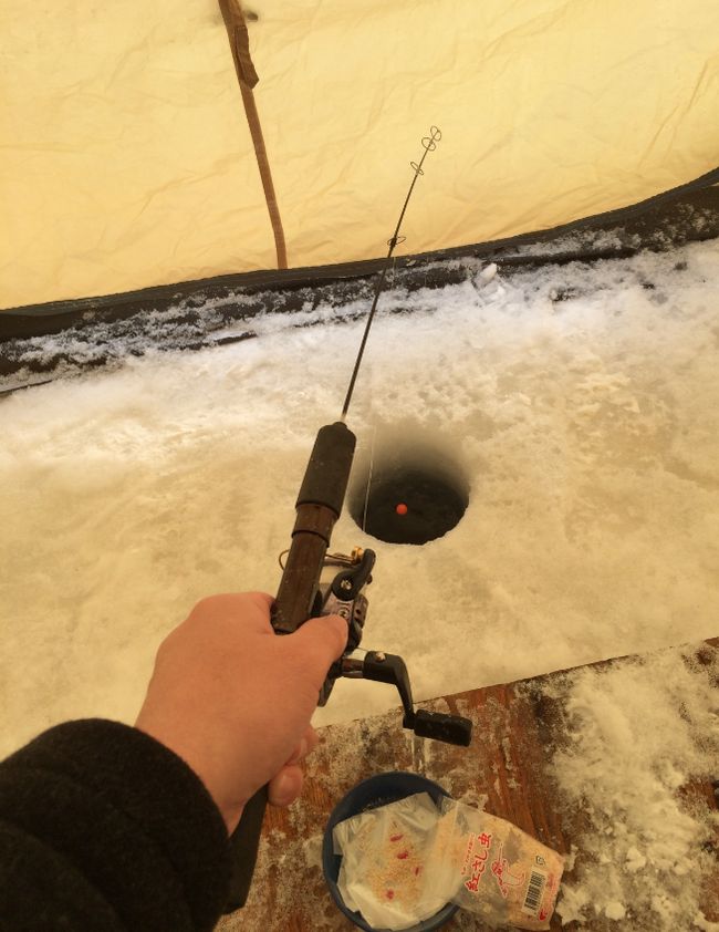 真冬の北海道 阿寒湖で氷上ワカサギ釣り 天ぷらを食すまで