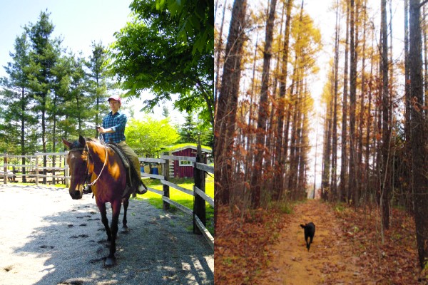 Clark Horse Garden