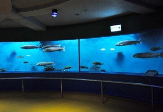 北海道の水族館イメージ