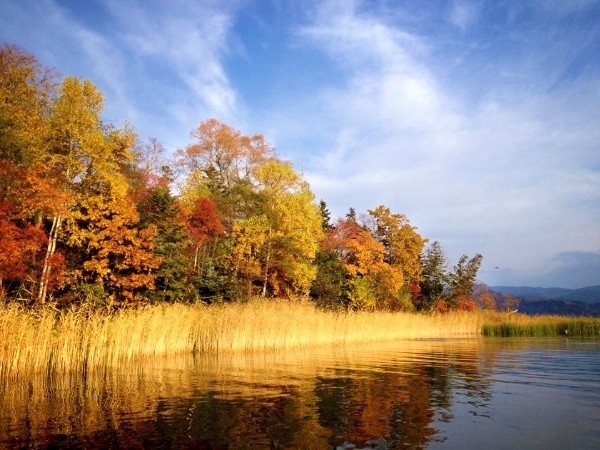 Autumn Leaves of Lake Akan