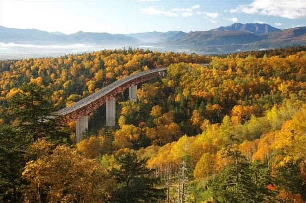 抓住秋天的尾巴 10月北海道的景點 活動 服裝總整理 北海道labo