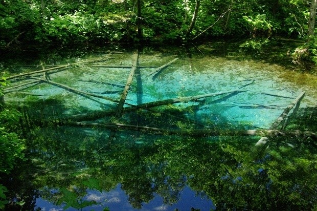 コバルトブルーに輝く神秘の泉 神の子池 その魅力と行き方
