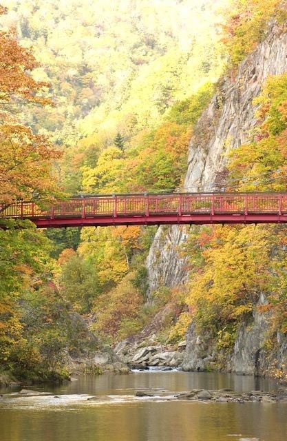 札幌・定山渓の紅葉