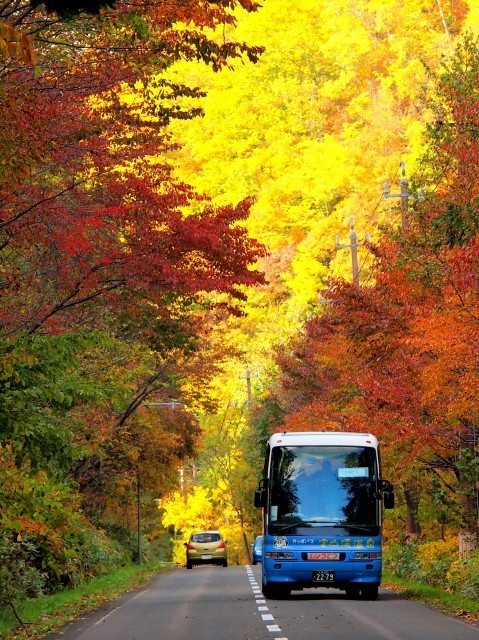 札幌・定山渓の紅葉