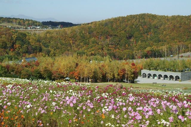 札幌・滝野すずらん丘陵公園の紅葉