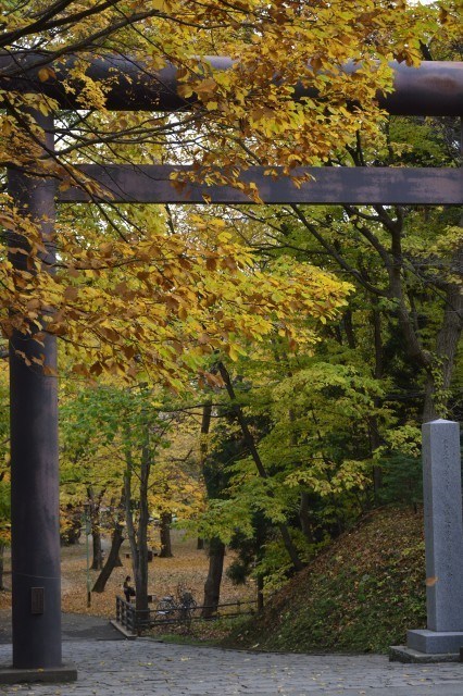 札幌・円山公園の紅葉