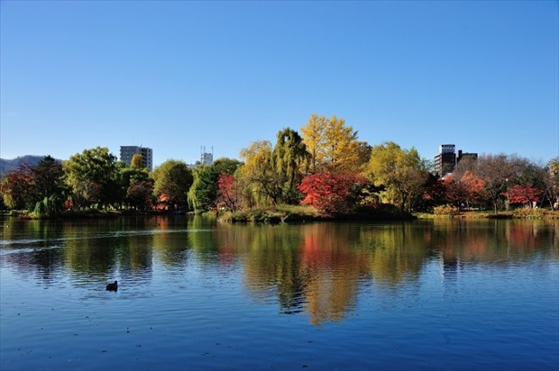 札幌・中島公園の紅葉