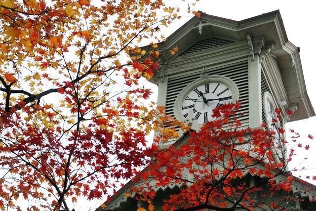 札幌の紅葉