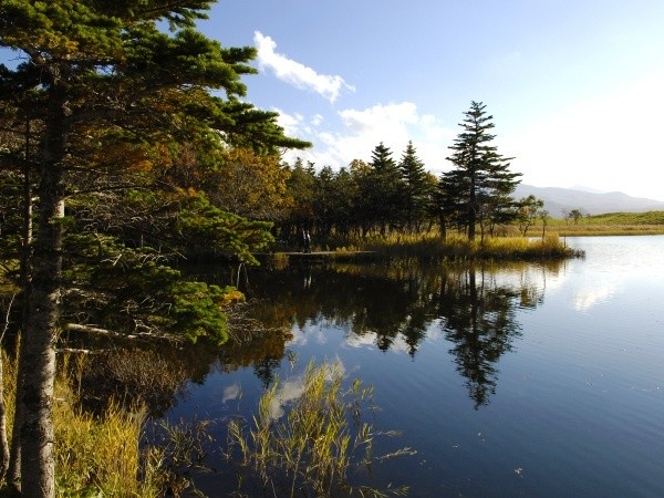 Autumn Leaves of the Shiretoko Five Lakes