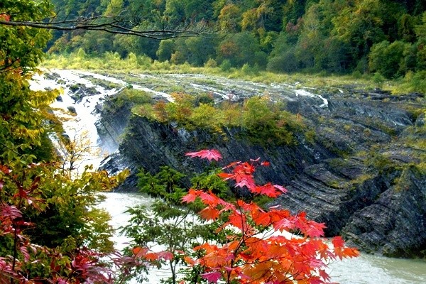 Autumn Leaves of Takinoue Park's Chidori Waterfall
