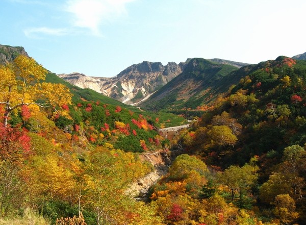 十勝岳望岳台