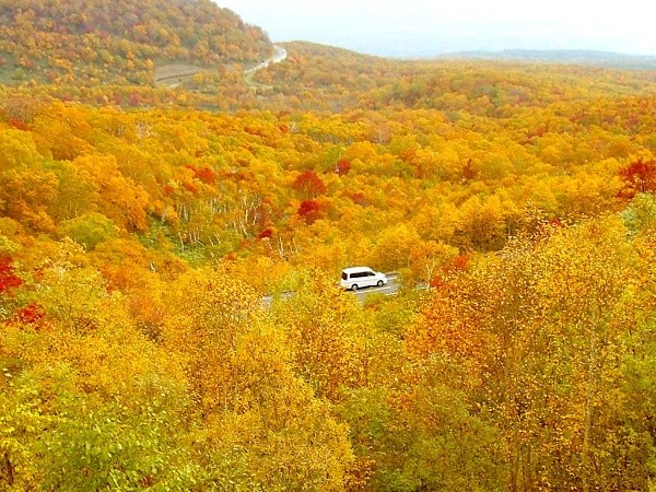 ニセコパノラマラインイメージ