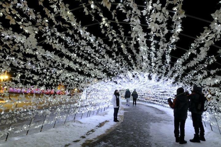 おとふけ十勝川白鳥まつり彩凛華　光のトンネル