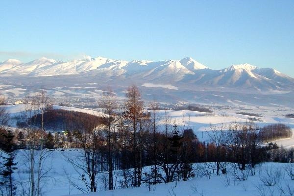 冬の富良野の愉しみ方と魅力