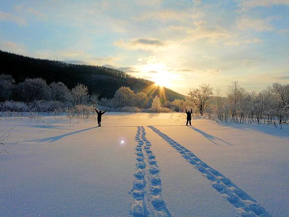 冬の富良野の愉しみ方と魅力