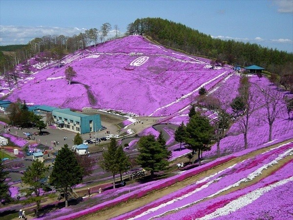 北海道観光・春