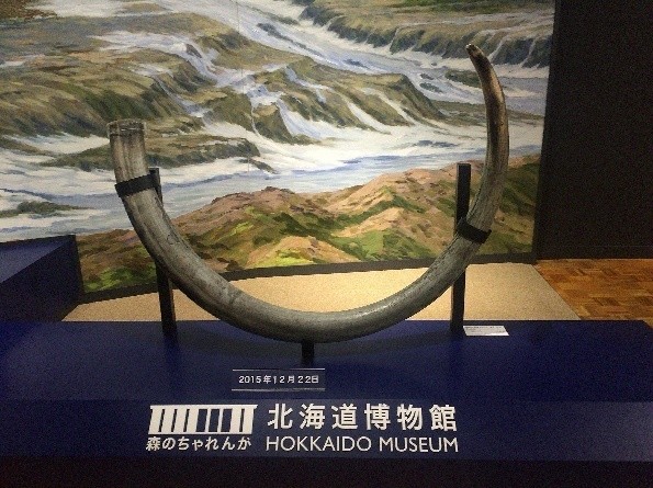 北海道博物館