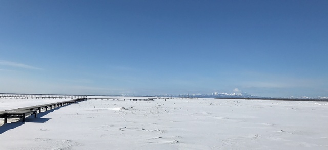 冬の野付半島、トドワラ