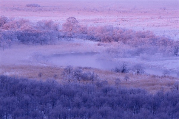 Kushiro Marsh in Winter