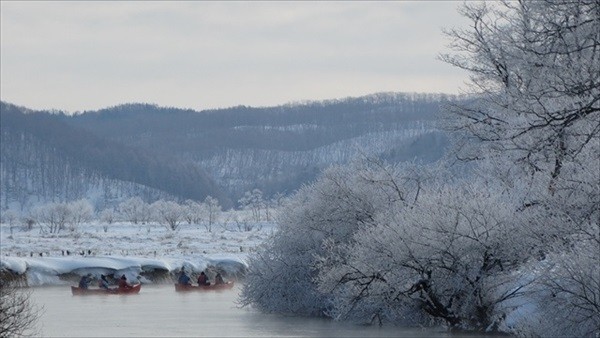 Kushiro Marsh in Winter