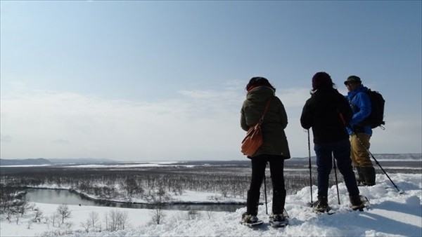 Kushiro Marsh in Winter