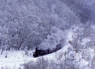 Kushiro Marsh in Winter