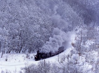 冬の釧路湿原