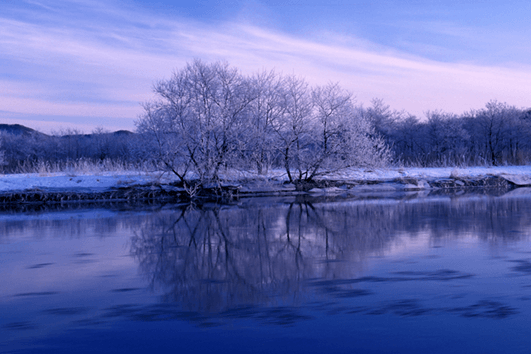 Kushiro Marsh in Winter