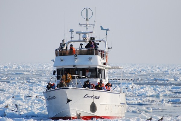 羅臼流氷クルーズ