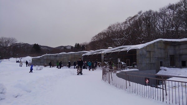 冬の円山動物園のみどころ